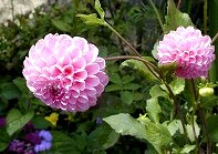 gardenmuseum (23).jpg